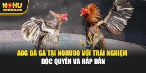 AOG Đá Gà Tại Nohu90 Với Trải Nghiệm Độc Quyền Và Hấp Dẫn