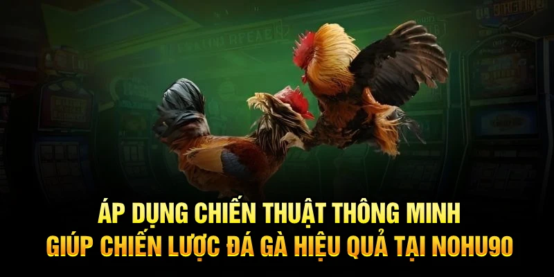 Áp dụng thủ thuật thông minh giúp chiến lược đá gà hiệu quả tại Nohu90