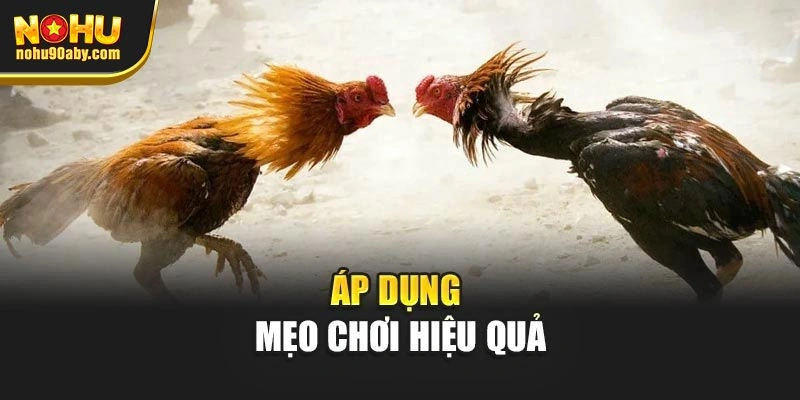 Áp dụng mẹo chơi hiệu quả