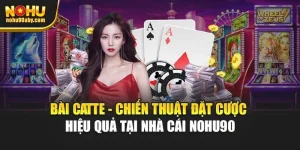 Bài Catte - Chiến Thuật Đặt Cược Hiệu Quả Tại Nhà Cái Nohu90