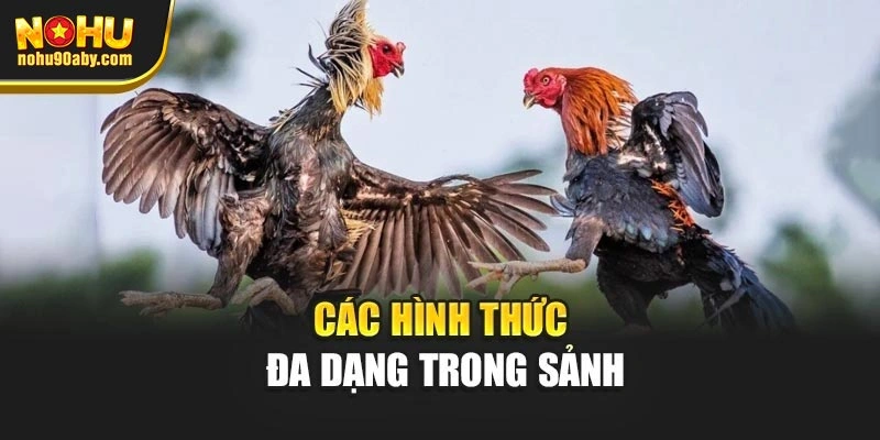 Các hình thức đa dạng trong sảnh