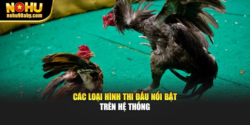 Các loại hình thi đấu nổi bật trên hệ thống