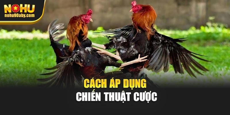 Cách áp dụng chiến thuật cược