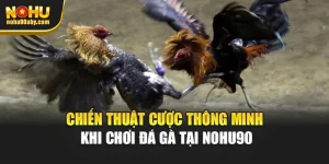 Chiến Thuật Cược Thông Minh Khi Chơi Đá Gà Tại Nohu90