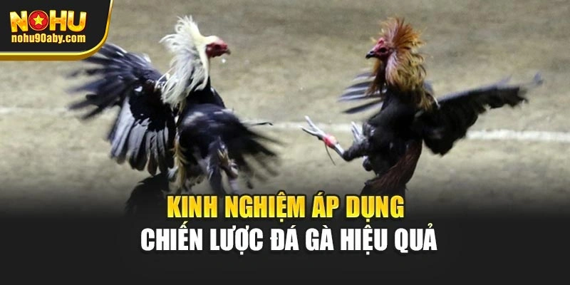 Kinh nghiệm áp dụng chiến lược đá gà hiệu quả