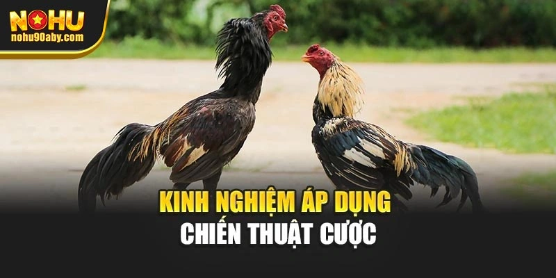 Kinh nghiệm áp dụng chiến thuật cược