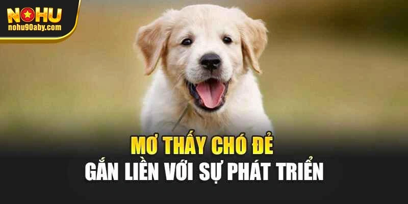 Mơ thấy chó đẻ gắn liền với sự phát triển