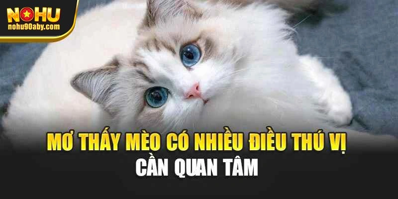 Mơ thấy mèo có nhiều điều thú vị cần quan tâm
