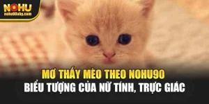 Mơ Thấy Mèo Theo Nohu90 - Biểu Tượng Của Nữ Tính, Trực Giác 