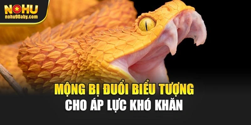Mộng bị đuổi biểu tượng cho áp lực khó khăn