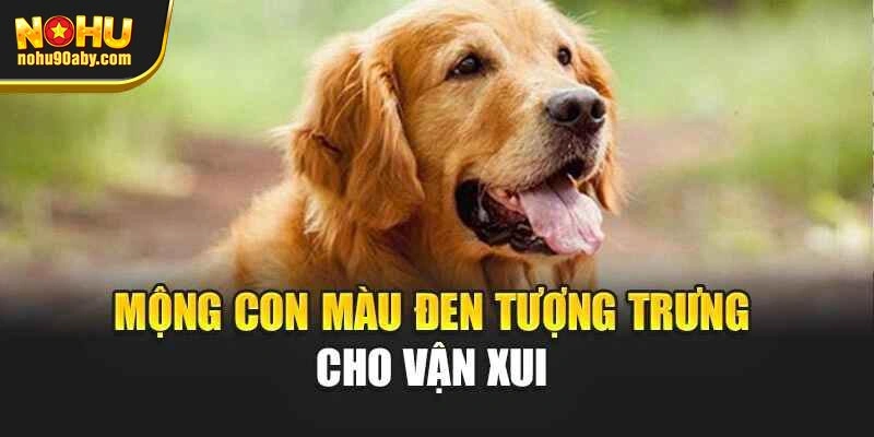 Mộng con màu đen tượng trưng cho vận xui
