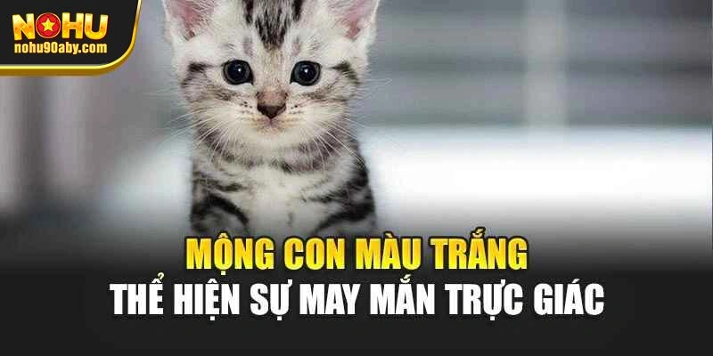 Mộng con màu trắng thể hiện sự may mắn trực giác