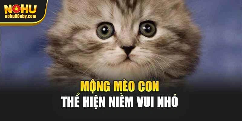 Mộng mèo con thể hiện niềm vui nhỏ