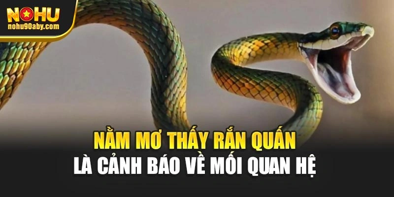 Nằm mơ thấy rắn quấn là cảnh báo về mối quan hệ