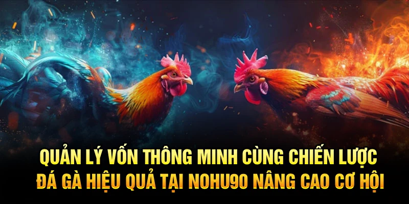 Quản lý vốn thông minh cùng chiến lược đá gà hiệu quả tại Nohu90 nâng cao cơ hội