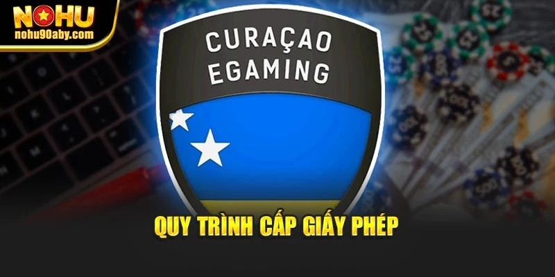 Quy trình cấp giấy phép