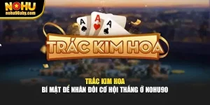 Trắc Kim Hoa - Bí Mật Để Nhân Đôi Cơ Hội Thắng Ở Nohu90
