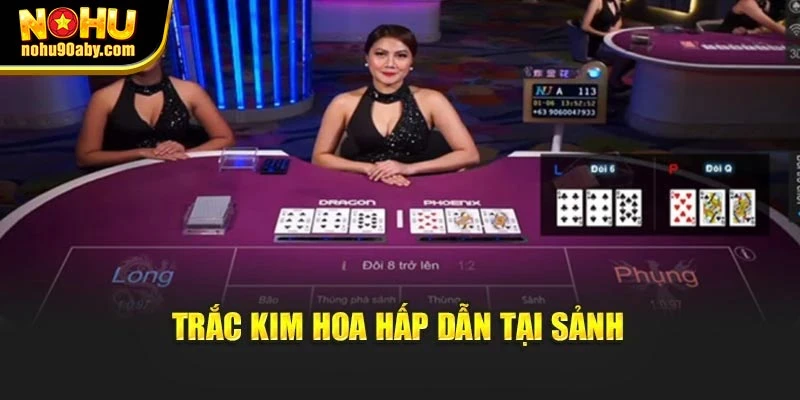 Trắc Kim Hoa hấp dẫn tại sảnh