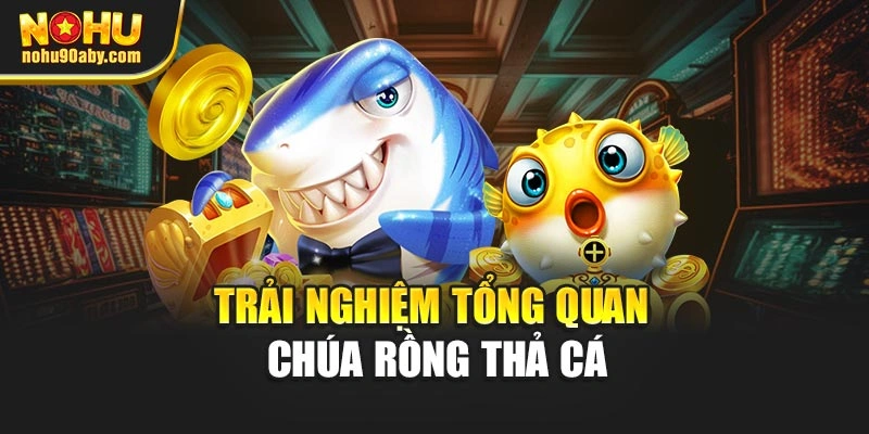 Trải nghiệm tổng quan chúa rồng thả cá