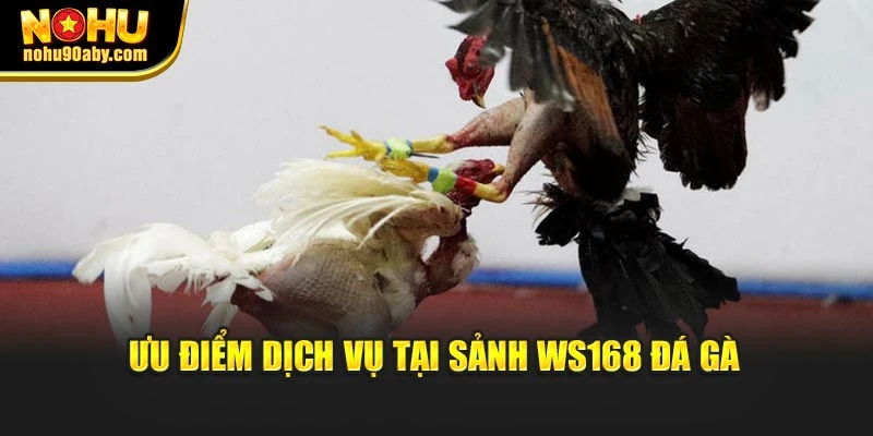 Ưu điểm dịch vụ tại sảnh WS168 đá gà