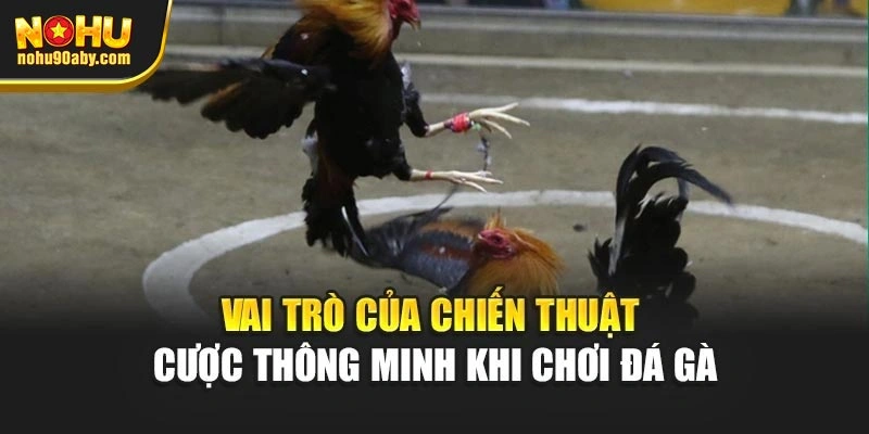 Vai trò của chiến thuật cược thông minh khi chơi đá gà